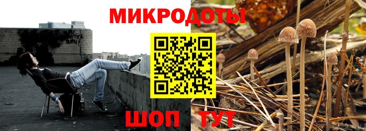 Галлюциногенные грибы MAGIC MUSHROOMS  Вход с VPN  Вятские Поляны 