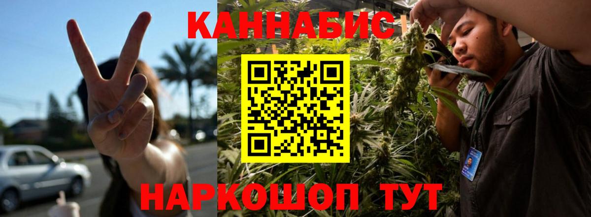 Бошки Шишки Amnesia  Шишки марихуана гибрид  Вход с VPN  Вятские Поляны  Конопля ГИДРОПОН  Конопля OG Kush 